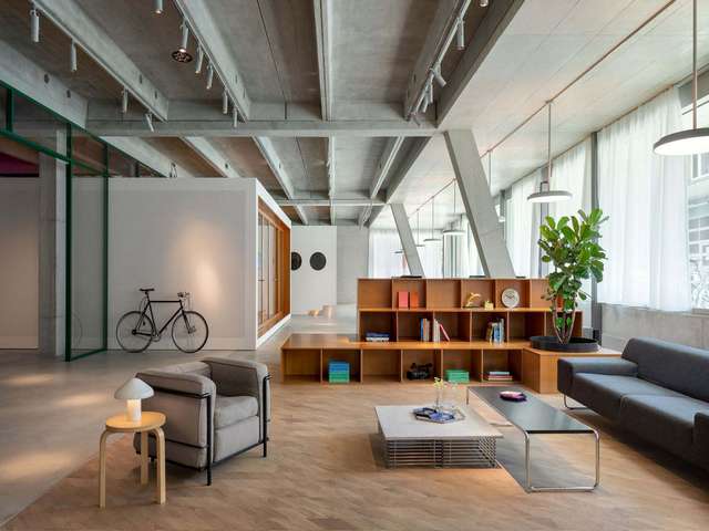 观赏咖啡红龙养殖方法